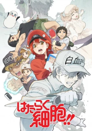 بوستر انمي Hataraku Saibou!!
