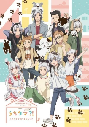 بوستر انمي Uchi Tama?! Uchi no Tama Shirimasen ka?